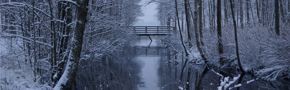 Winter in Schweden