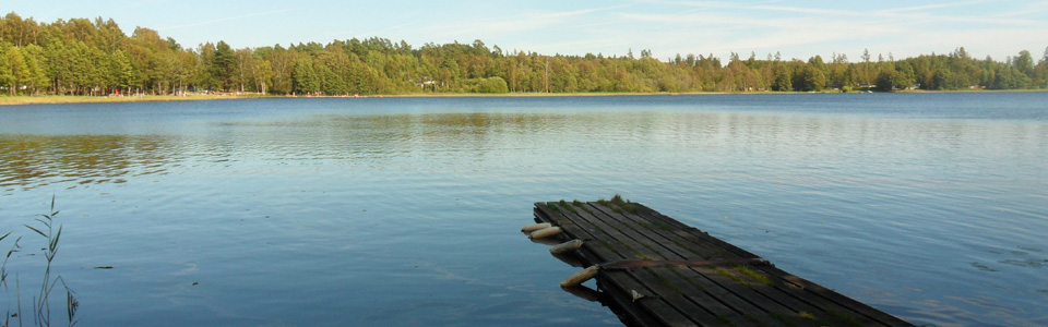 Blick auf den Bolmen